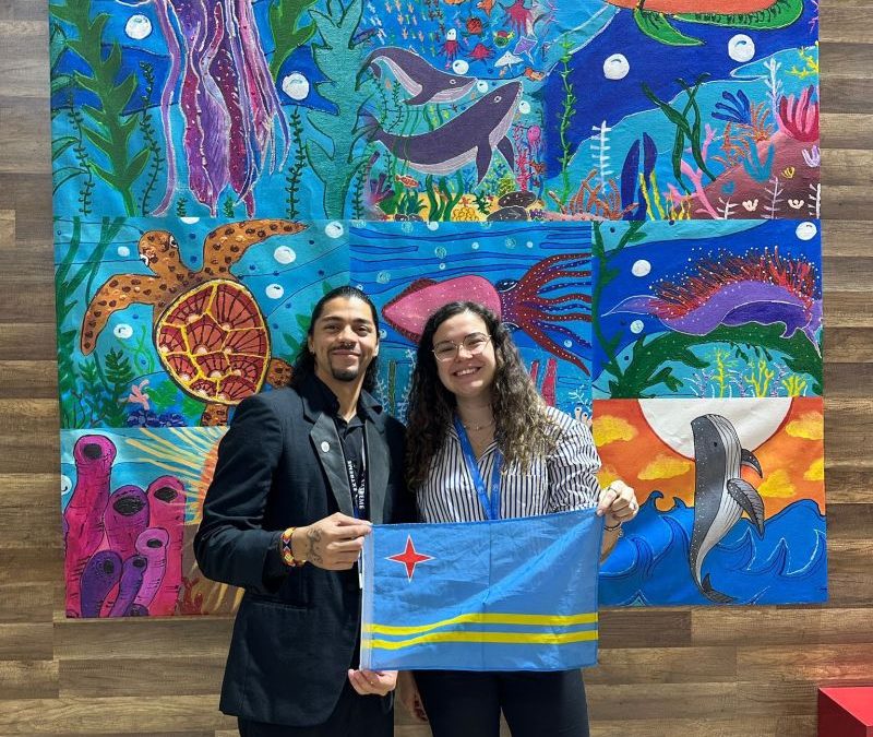 Lynn with a COP29 negotiator