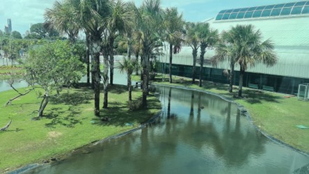 outdoor space in Belem Brazil COP30