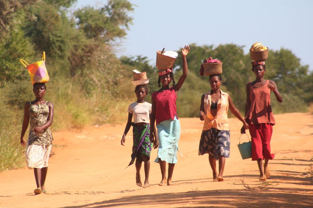 CREST: Climate Resilience Synthesis Training 21–27 April 2022