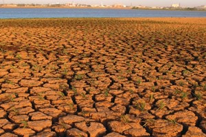 Pan African Heatwave Health Hazard Forecasting