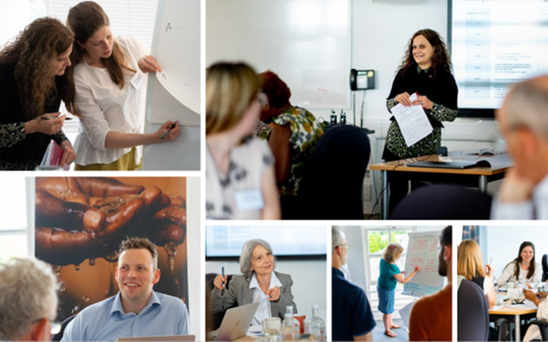 Walker Institute Partners with Historic England to Protect Thousands Year Old Wetland Archaeology Threatened by Climate Change