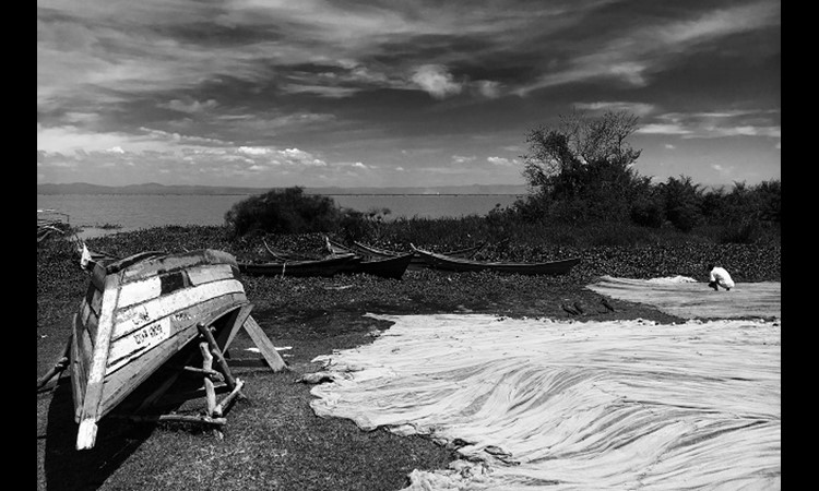 Climate Change Adaptation in East Africa: Reflection on Systematic Change