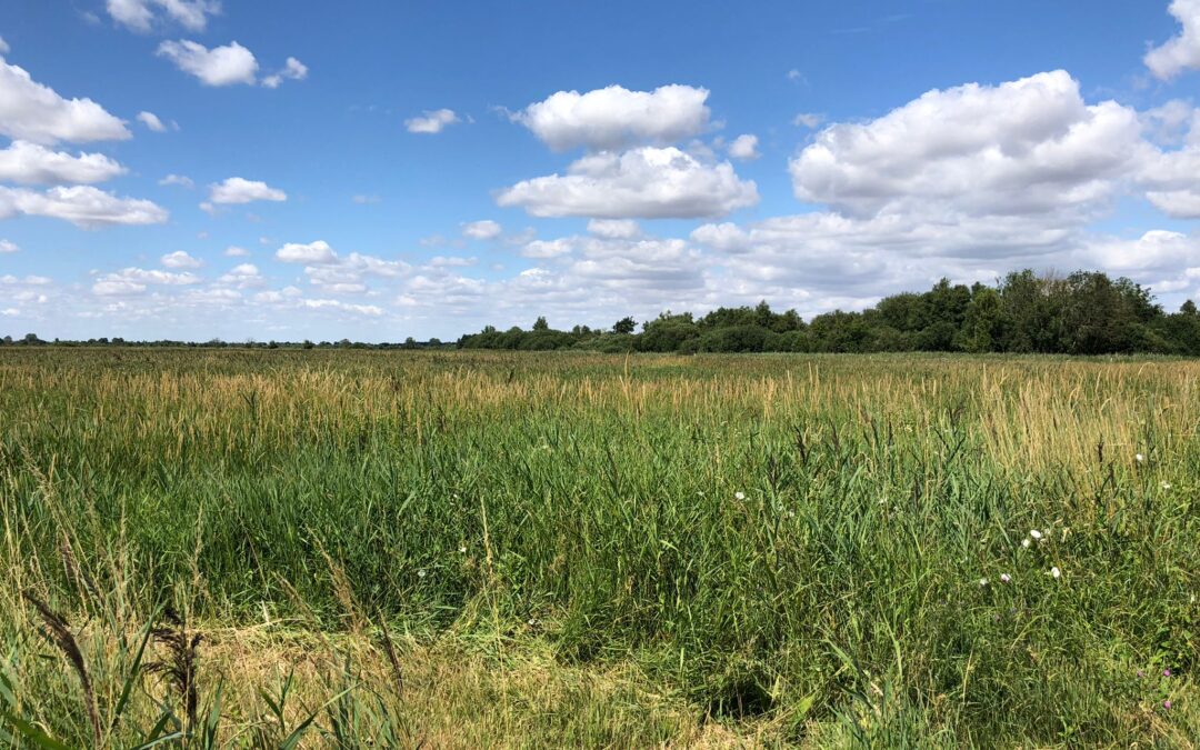 Climate Adaptation for Heritage