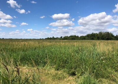 Climate Adaptation for Heritage