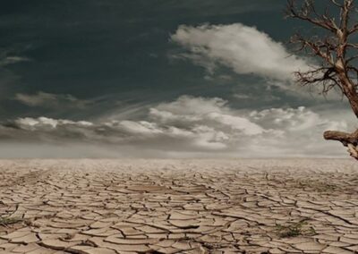 COP27’s first ever official water day was a drought event – COP CAS student blog