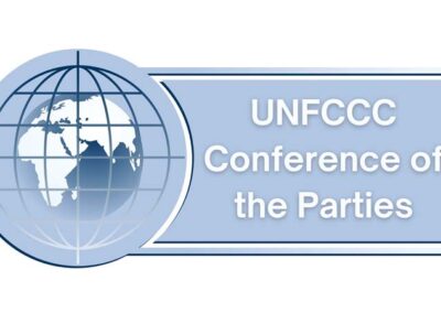 Civil society and COP – COP CAS student blog