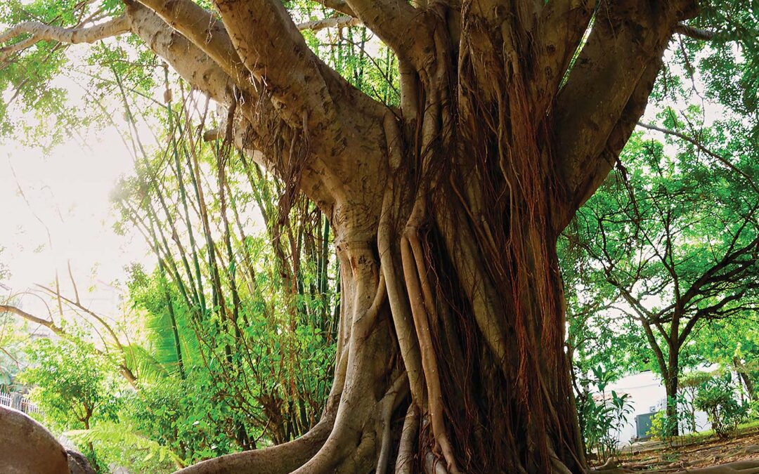 My Climate Risk Education Working Group: Can We Do Better? Climate Science and Colonialism.