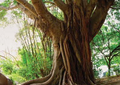 My Climate Risk Education Working Group: Can We Do Better? Climate Science and Colonialism.