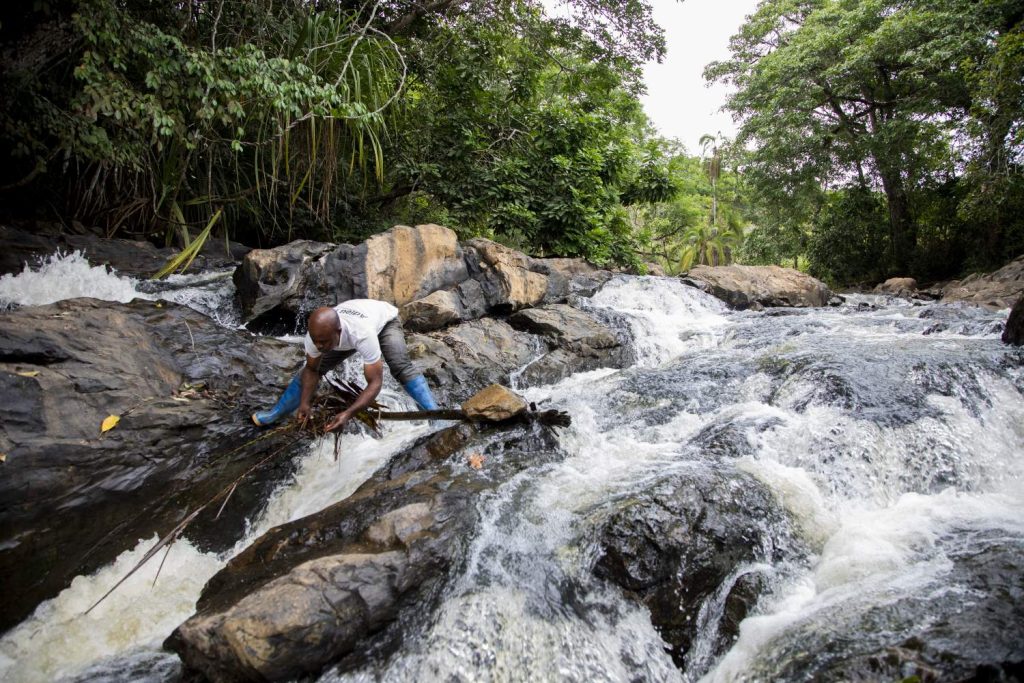Local entomologist Njikam Soulé prospecting river Nja for larvae_Dominique Catton. Credit:Sightsavers