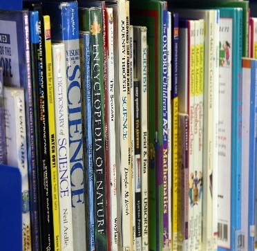 Picture of books on a shelf