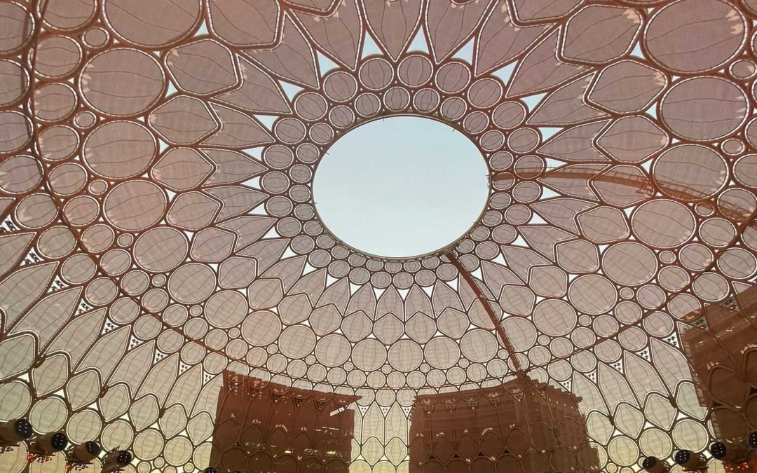 Mixed Feeling For COP28 Half Way Through The Conference – COPCAS 2023 Student Blog