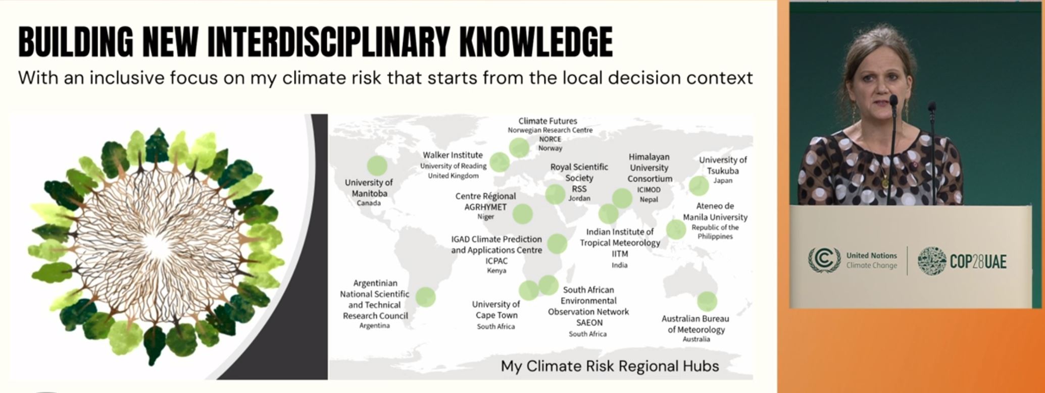 Rosalind Cornforth presenting my climate risk
