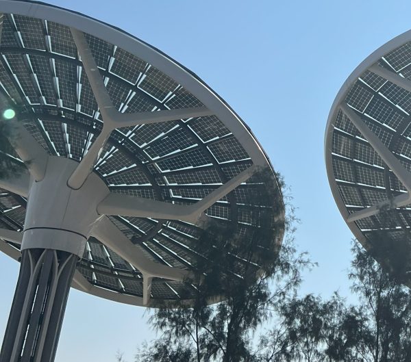 2023.12.07 Image credit Hannah Case - Solar Panels in Dubai Expo