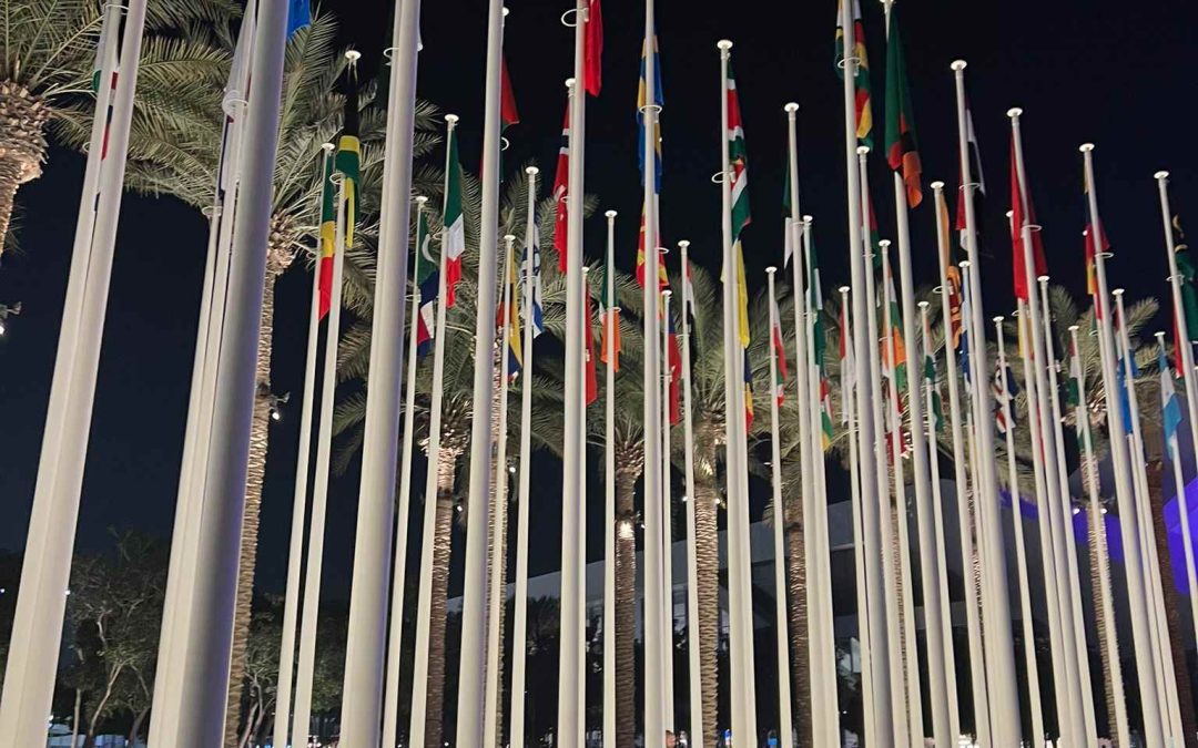 Can COP28 be a turning point for nature? – COPCAS 2023 Student Blog