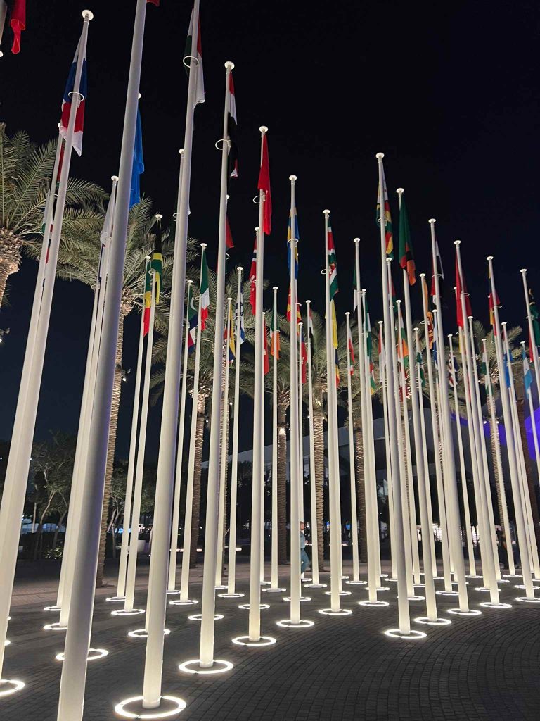 Image credit Hannah Case_flag poles at COP28 night view