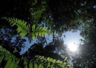 Now that COP28 is over what do we do with all the climate negativity? – COPCAS 2023 Student Blog