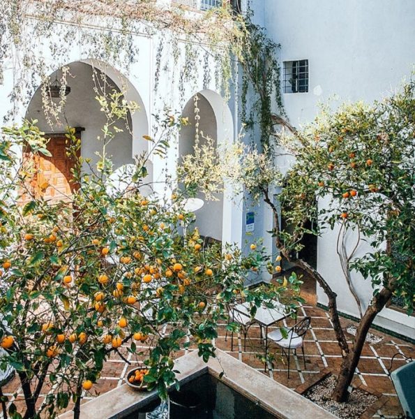 Picture of a Moroccan garden