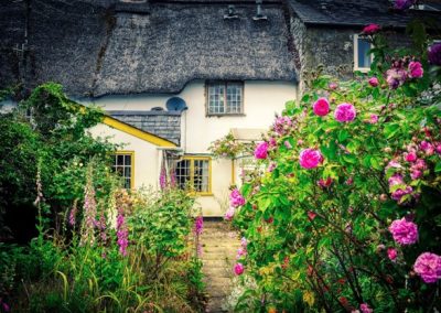 Planting for the Future – COPCAS 2023 Student Blog