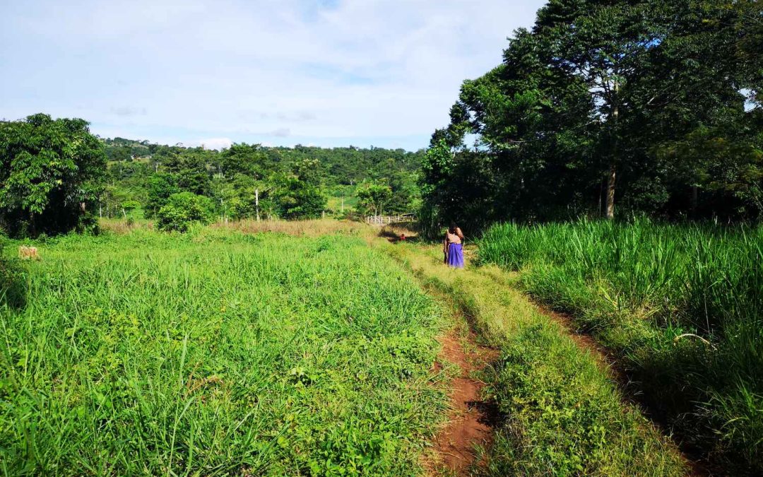 Strengthening AGRHYMET’s Training Program