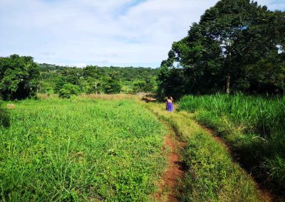 Strengthening AGRHYMET’s Training Program