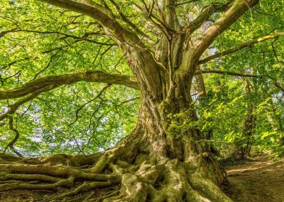 The Walker Institute, proud to be a ‘My Climate Risk’ hub