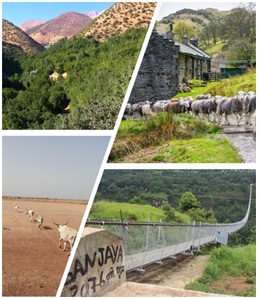 Climate and Cultural Heritage – Immersive session exploring the question of “Landscapes or Livelihoods?”