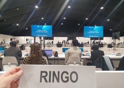 Billions or trillions? Should COP add innovation into its financial discussions?