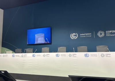 Demystifying COP language