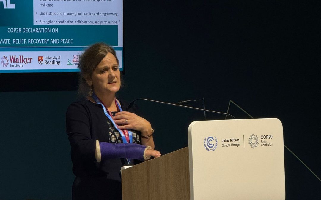 The Pearl Director, Prof. Rosalind Cornforth, at Royal Meteorological Society Event Research to Practice in Climate Change Adaptation