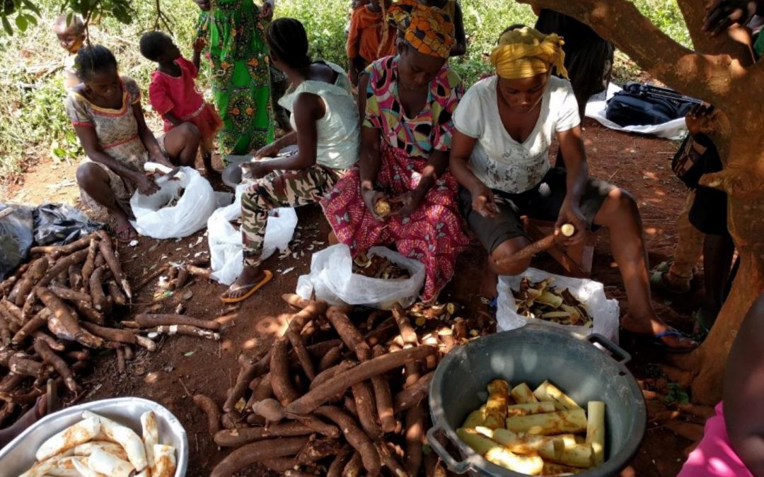 Strengthening the Resilience of Vulnerable Family Farms to Climate Change in the Agricultural Development Pole in Benin