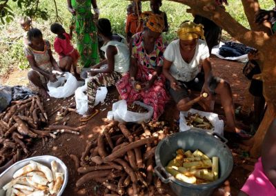 Strengthening the Resilience of Vulnerable Family Farms to Climate Change in the Agricultural Development Pole in Benin