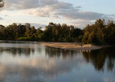 A Need for Integrated Nature & Climate Solutions in an Interconnected World