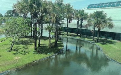 Is a ‘COP of Implementation’ a cop out?